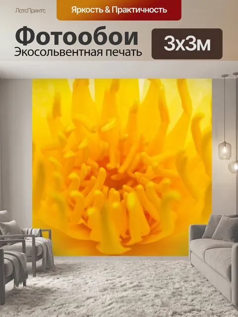 Фотообои Красивый цветок лотоса кувшинки