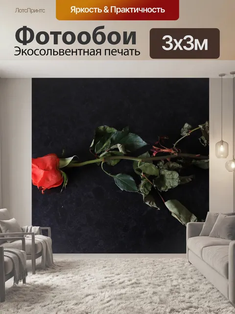 Фотообои Красная роза