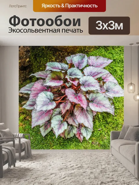 Фотообои Ландшафтный сад, лесной стиль