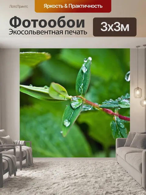 Фотообои Капли дождя на листьях
