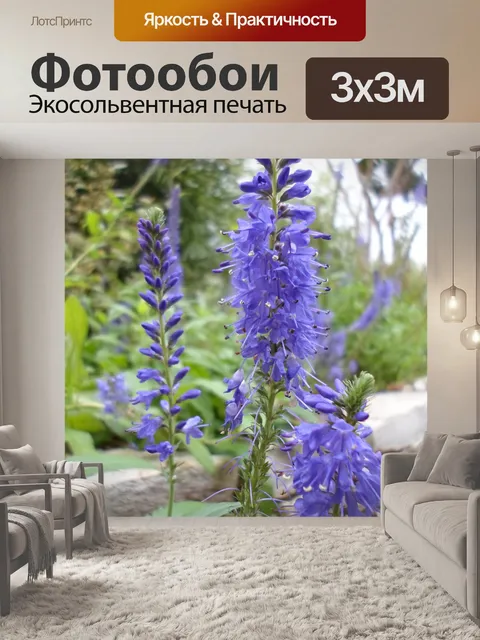 Фотообои Фиолетовый Синий цветы фиолетовые