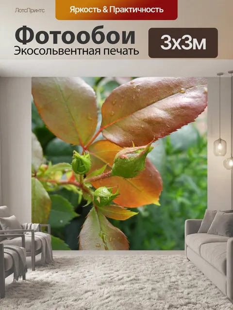 Фотообои Розовый