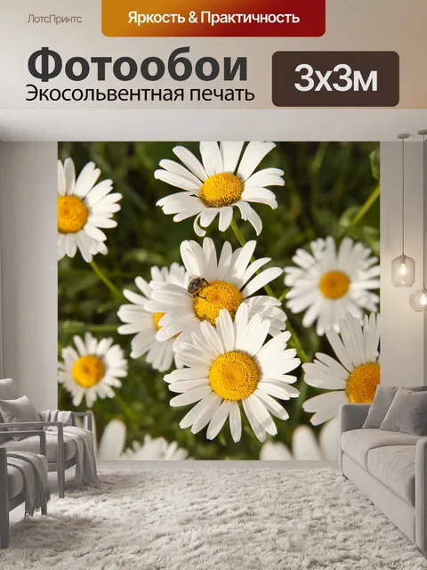 Фотообои Ромашка