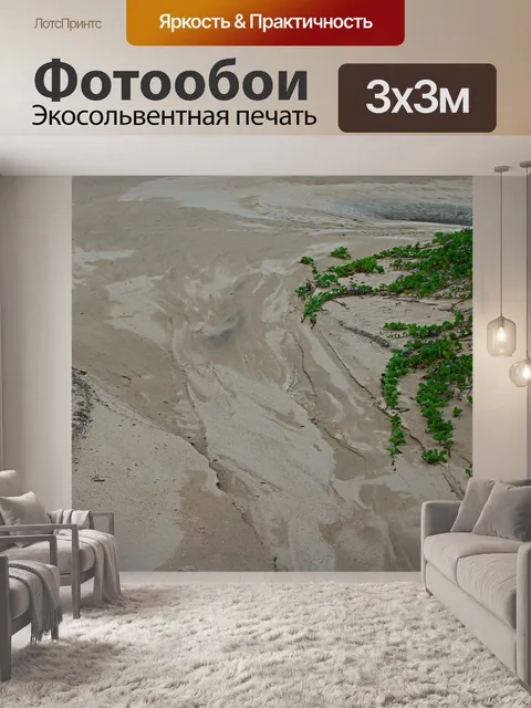 Фотообои Вихревой песок и прибрежная растительнос