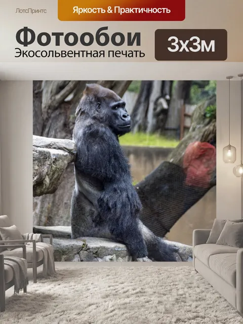 Фотообои горилла