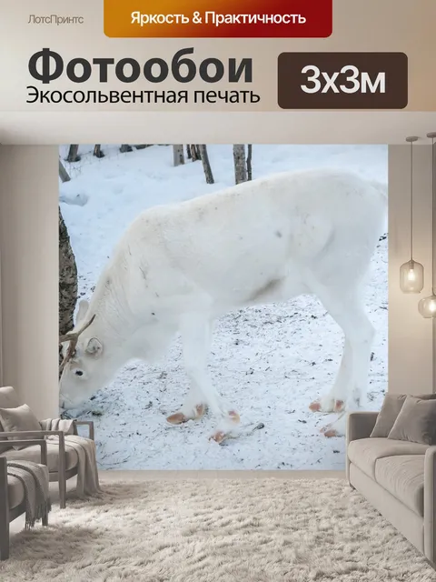 Фотообои Олень