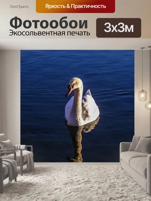 Фотообои Лебедь