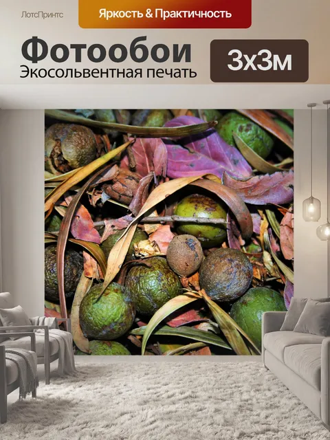 Фотообои желтый дерева семена деревьев