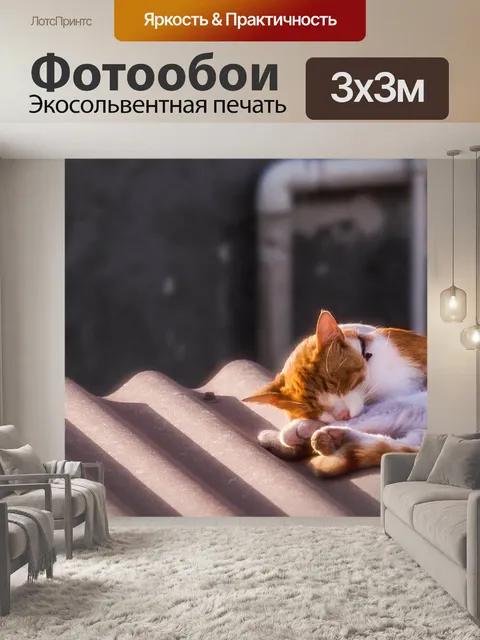 Фотообои Кот