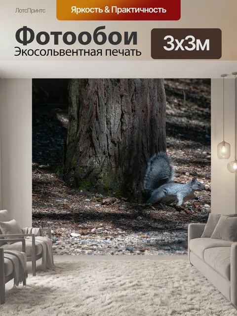 Фотообои Серые белки в бегах