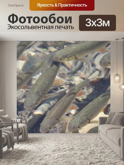 Фотообои Рыбы