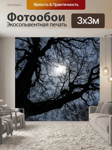 Фотообои Ночь