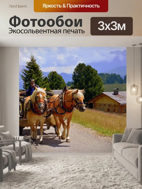 Фотообои Лошадь