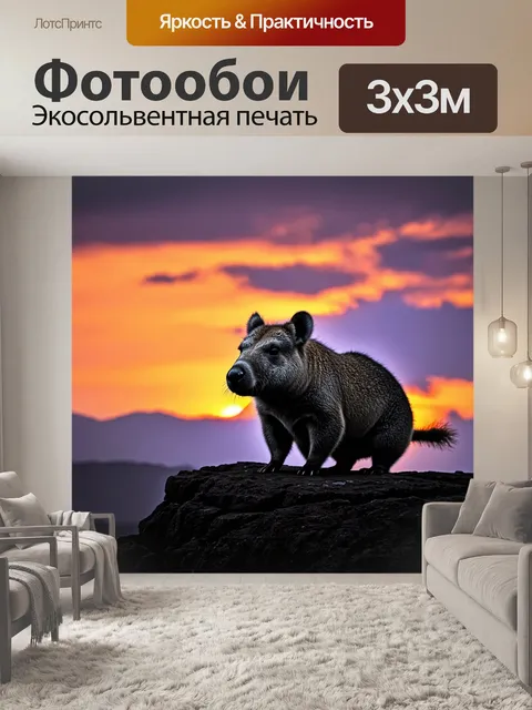 Фотообои вомбат на фоне заката, когда небо окрашивается в оранжевые и пурпурные тона