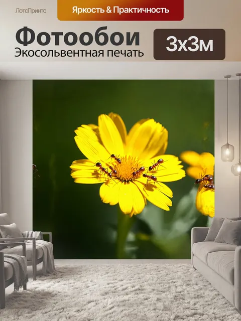 Фотообои группа муравьев занята сбором нектара с яркого желтого цветка