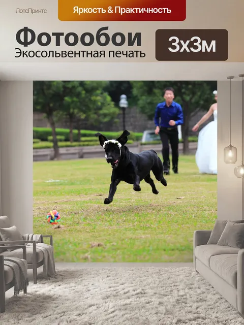 Фотообои Черный пес