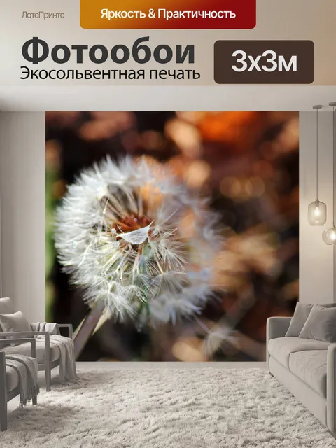 Фотообои капли воды на пушистом одуванчике