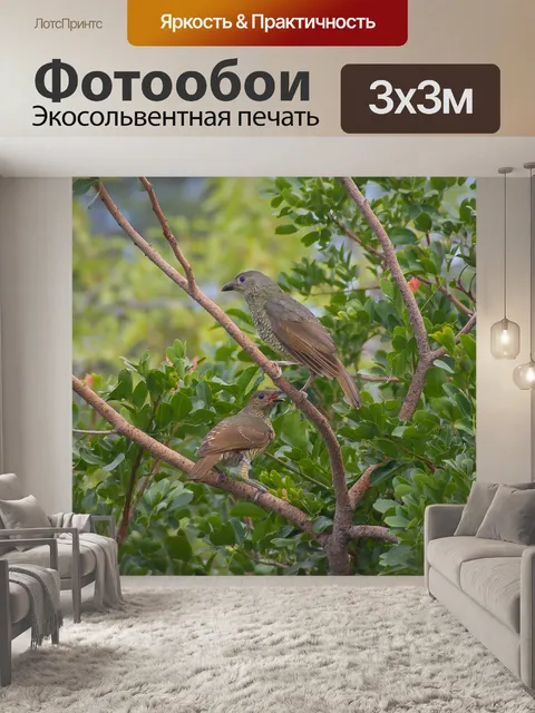 Фотообои Птицы