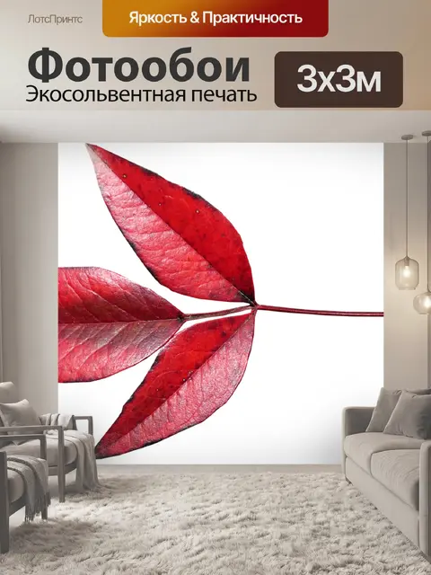 Фотообои Лист
