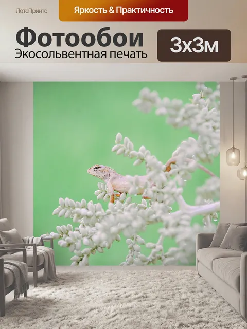 Фотообои Милый