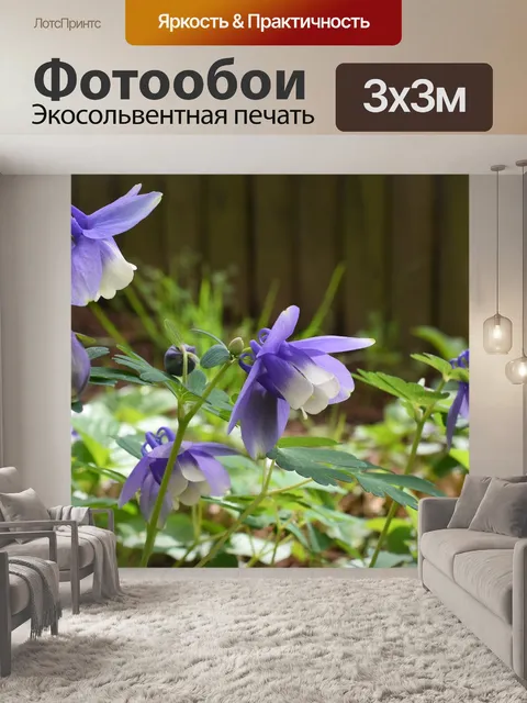 Фотообои Уайлдфлауэр