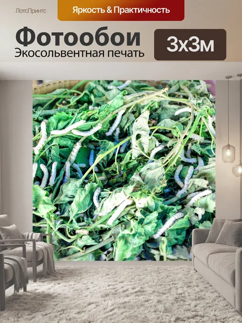 Фотообои Шелкопряд ест листья шелковицы