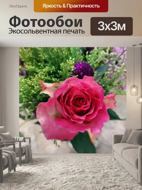 Фотообои розовая роза