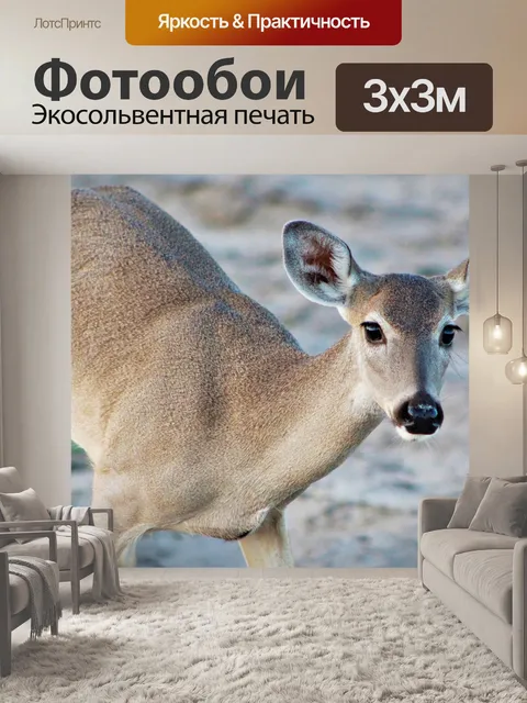 Фотообои Лань