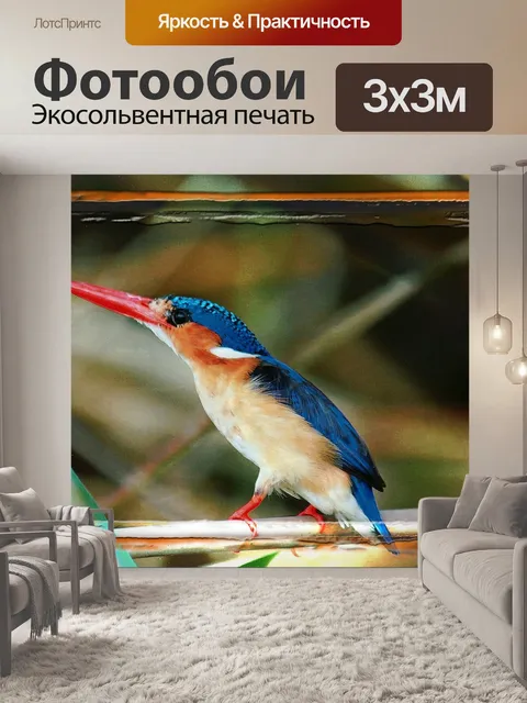 Фотообои Красочный