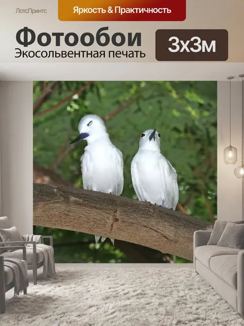 Фотообои Белая птица