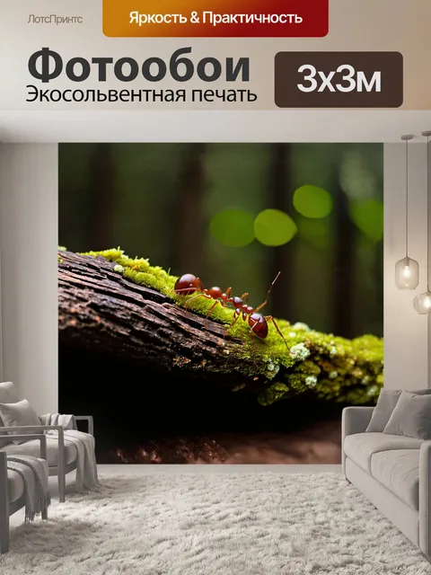 Фотообои муравей, ползущий по древнему коряге, где яркие мхи и лишайники создают контраст с его гладким телом
