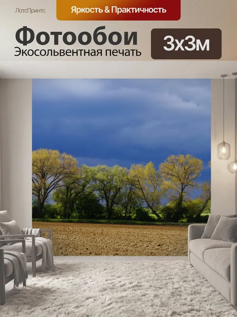 Фотообои Деревья осенняя листва поля