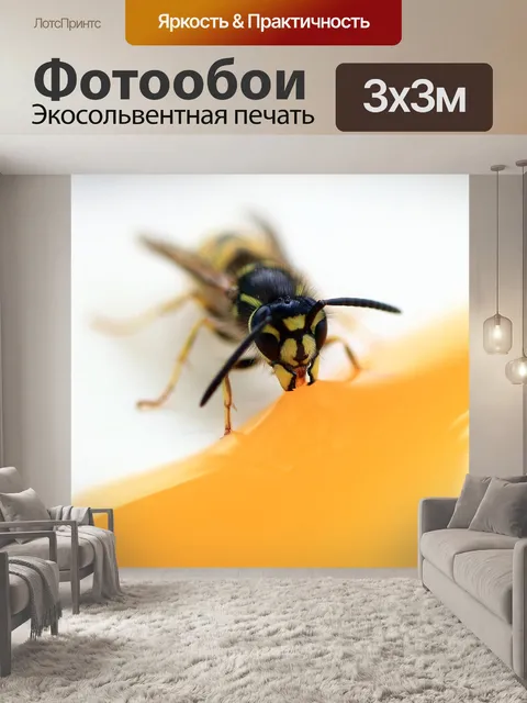 Фотообои Оса