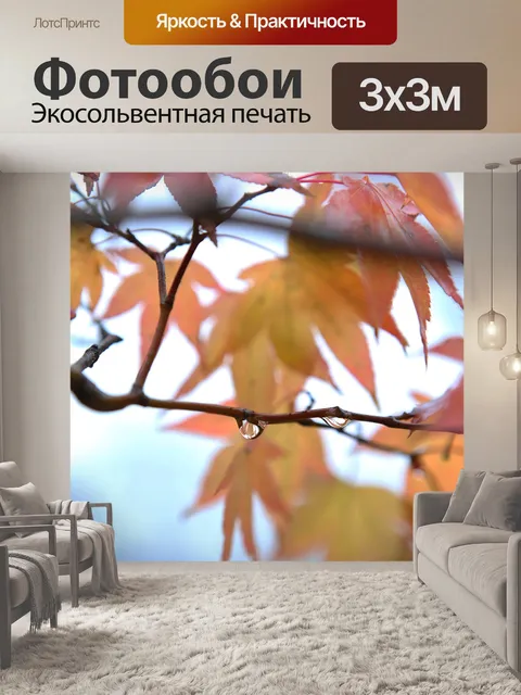 Фотообои Осенние листья