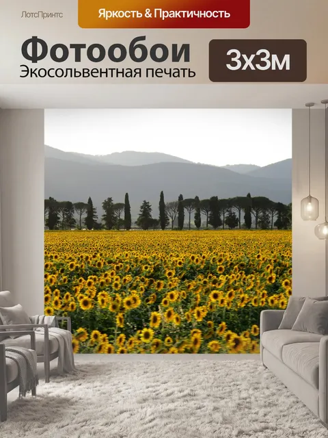Фотообои Поле