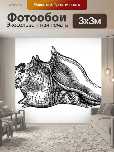 Фотообои Винтажное искусство ракушек старое