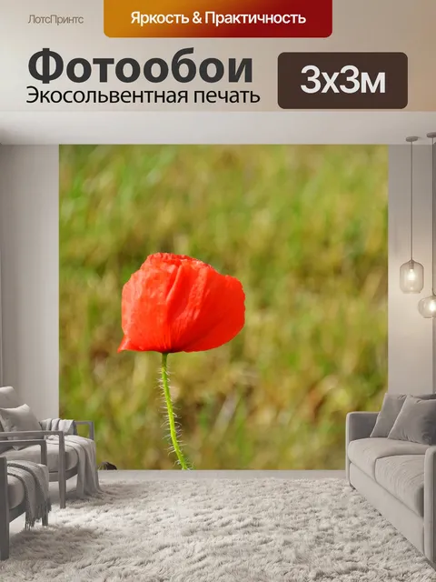 Фотообои Мак