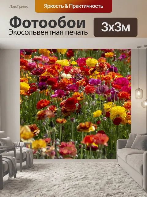 Фотообои Поле цветов лютика