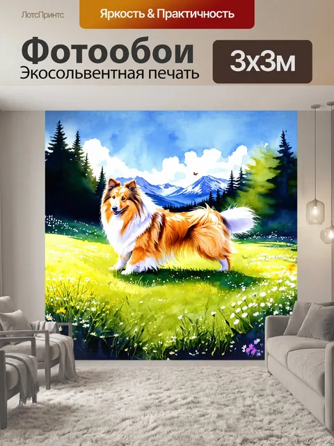 Фотообои грубая колли, играющая на зеленом лугу, залитом солнечными лучами, ее шерсть переливается на ветру