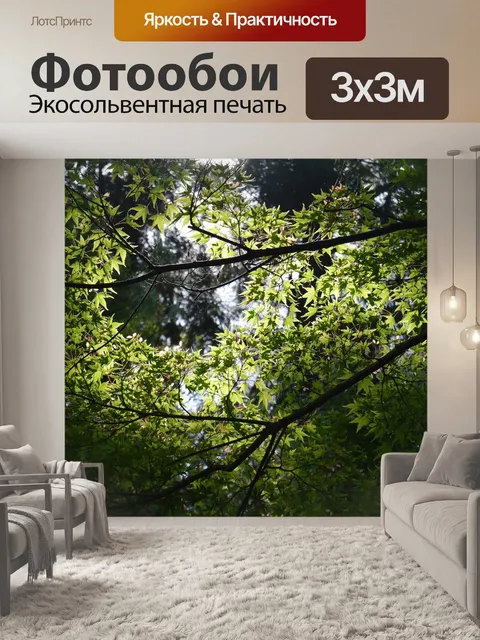 Фотообои Вудс
