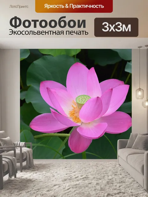 Фотообои Lotus