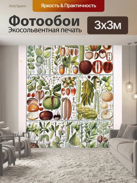 Фотообои Орехи старинного искусства ботаники