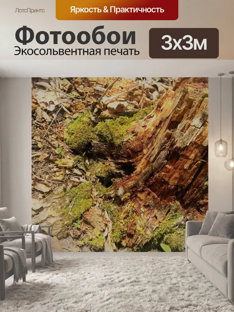 Фотообои Пень и мох
