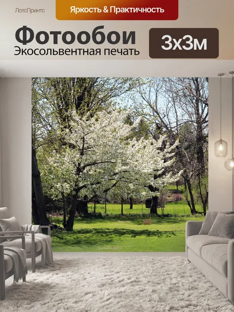 Фотообои Деревья весной