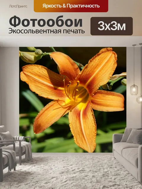 Фотообои Лилия