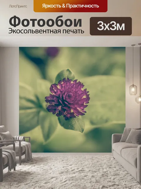 Фотообои Клевер