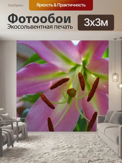 Фотообои Лили