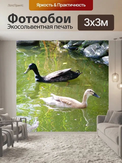Фотообои Индийские бегущие утки