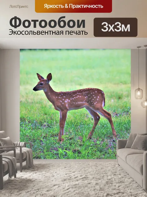 Фотообои Белый хвост Олень крупным планом