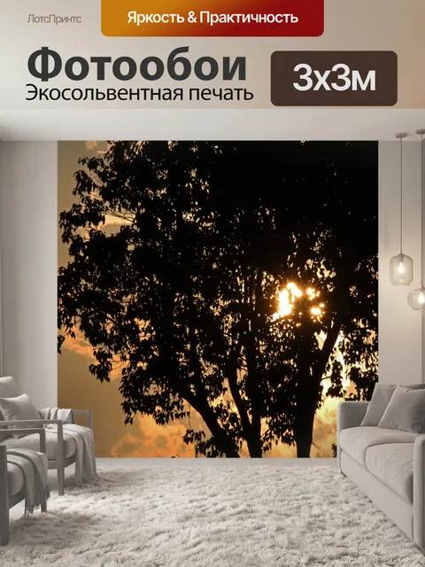 Фотообои солнечные лучи сквозь силуэт дерева